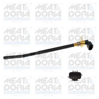 Sensor, engine oil level